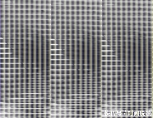 表情轻吻女主人6秒满脸露出,抬头后溺爱的猫咪表情包公交车图片