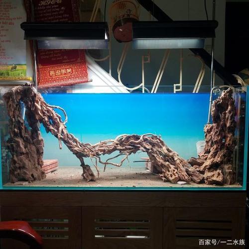 云縣洋洋水族店（云縣洋洋水族店電話）