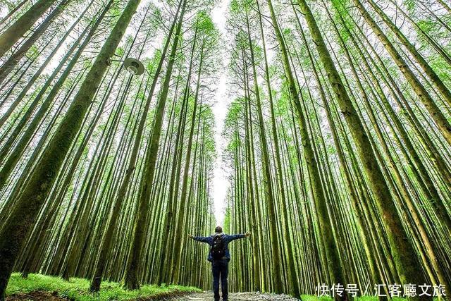 它比重庆洪崖洞火得更早！修炼亿年只为与你相遇