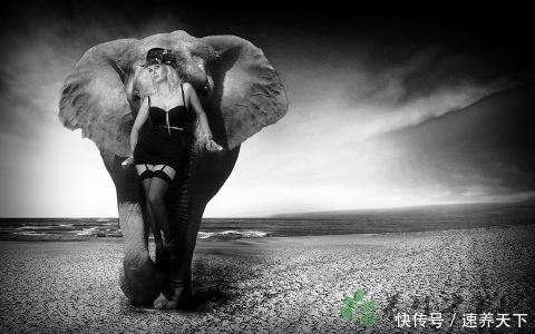 用它治湿疹,效果妥妥的,除湿祛疹见效快,关键