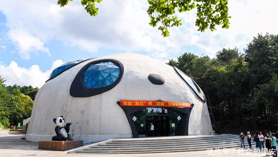 熊猫姐妹花飞抵长春 安家东北虎园 8月24日与