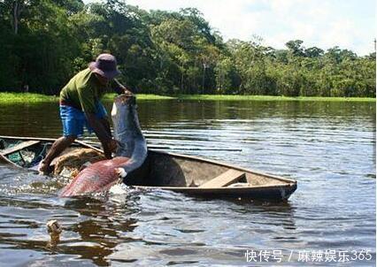 男子湖里抓到未知鱼种,上网查阅后震惊全村