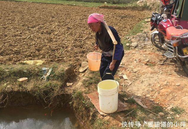 骇人听闻:老奶奶去河塘挑水舀起喝,可是盆里的虫子把全村人吓软 新利18登录