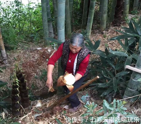 农村有一类人，天天在山上转悠，在家也比打工强