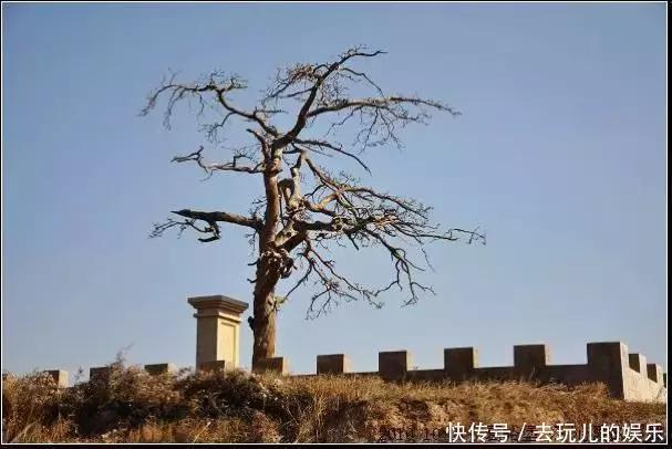 t01aad8251540377bb5.jpg?size=607x406