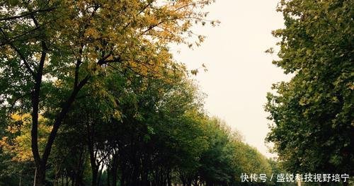 在郑州,不出城就去国家级景区游玩,还免没门儿媳妇情趣内衣的图片
