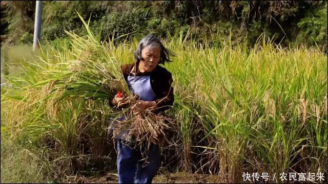 未来10年，农民的土地最终会落到谁的手里？未来土地发展形势