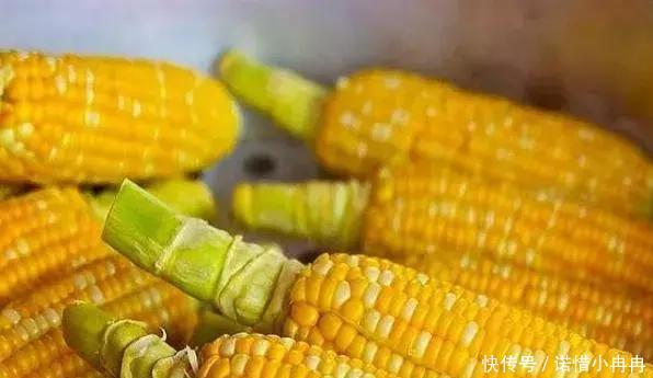 糯玉米种子正品 t01acdbf25ad00b3fd5.jpg