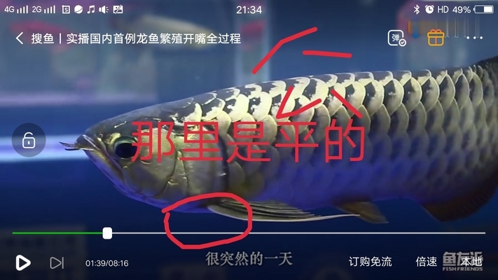 昆明市盤(pán)龍區(qū)云辛水族店（昆明市盤(pán)龍區(qū)云辛水族店電話）