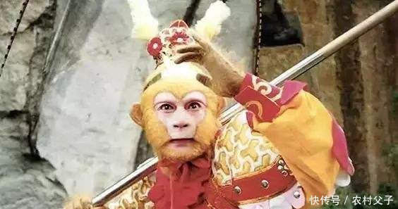 5个版本孙悟空你最喜欢哪一个六小龄童最经典