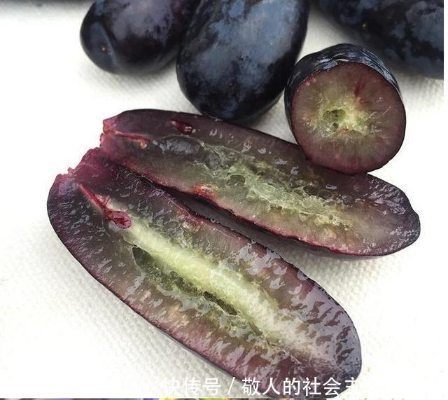 农村小伙包五亩地种果树,成为百万富翁,全村村