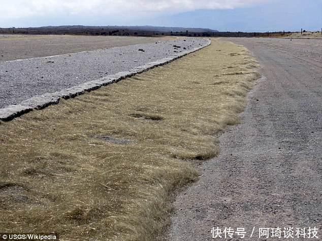 美国夏威夷火山长出了头发?专家却发出警告