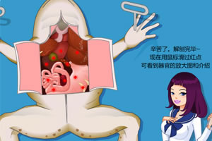 女孩解剖青蛙,女孩解剖青蛙小游戏