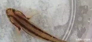 t01b094060610a19b48.jpg?size=310x142