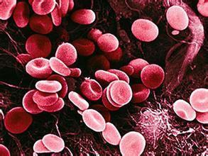 造成红细胞高是什么原因?_360问答