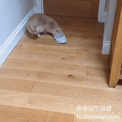 笑话 正文  亲亲,(闻),等等,你他妈昨晚干什么去了,别碰我!