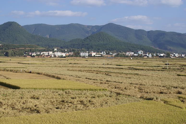 鸡街乡