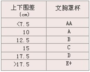 内衣的英语单词怎么写_英语画画单词怎么写