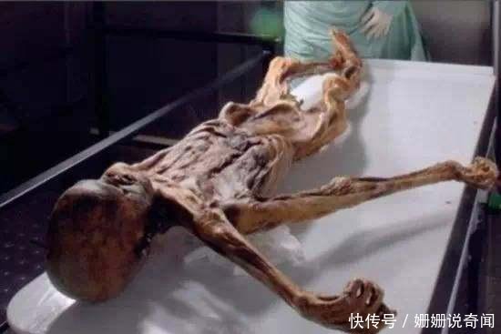 奇闻异事怪事,奇闻异事怪事人