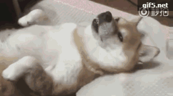 搞笑gif,无聊时轻松一下吧 - 360娱乐,你开心就好