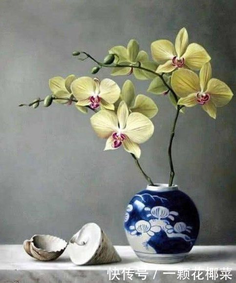 心理测试:4种鲜花,你会把哪个放在卧室?测你内心真实的一面!