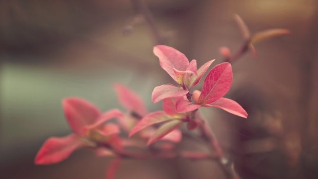 360安全卫士10.0换皮肤_360问答