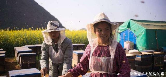 留学生放弃大城市工作,毅然决定回家创业,和蜜