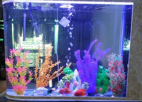 广汉市清洋水族店（广汉市清洋水族店电话） 全国水族馆企业名录