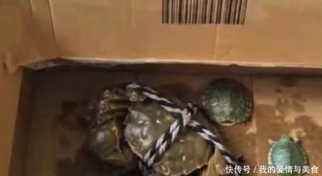 幼儿园场地要求