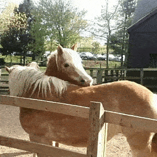 你们天天对我秀恩爱,就不怕我把你们分开吗?