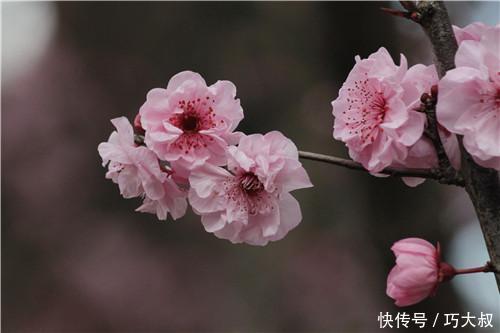 男人一旦有这4个迹象,女人该学会放下了!