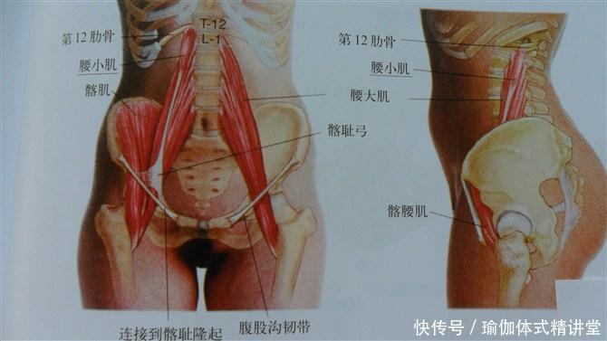 想瘦肚子 教练推荐了这个体式 可是练完大腿累