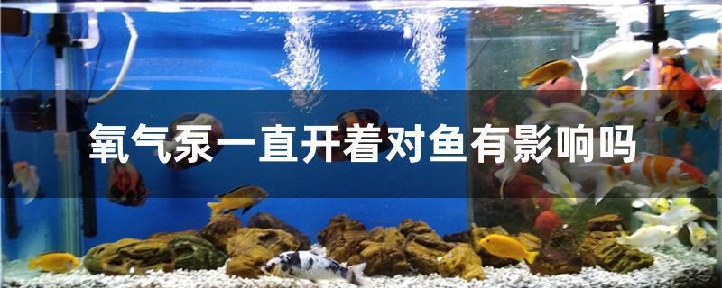 美之海魚缸安裝（美之海魚缸安裝視頻） 祥龍水族醫(yī)院