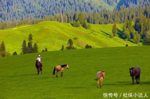 五险一金是社保吗