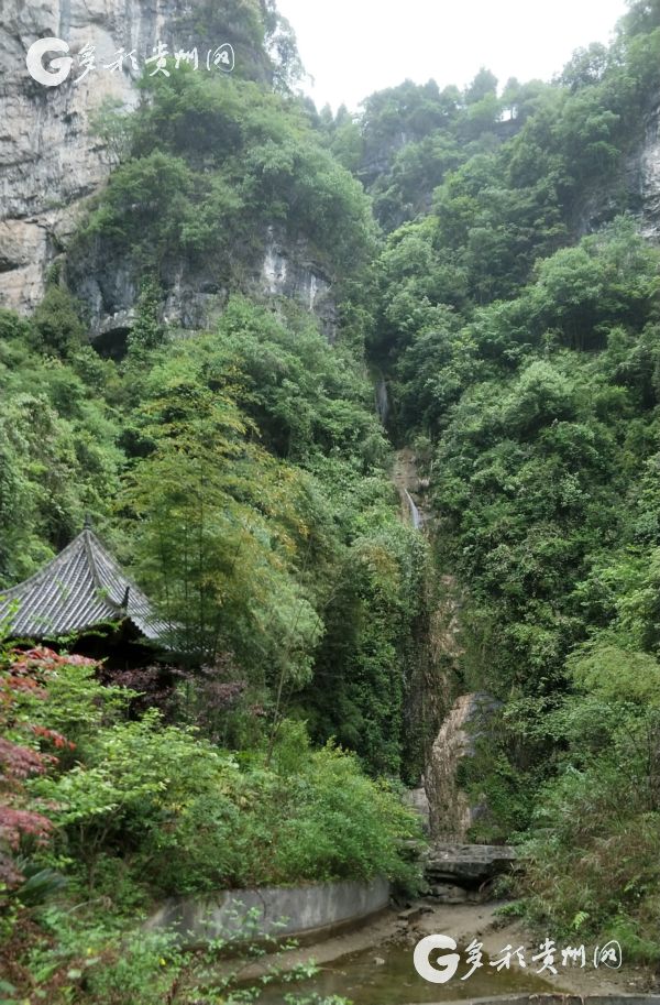 旅游|湄潭:我与湄潭之间 只隔着一张车票
