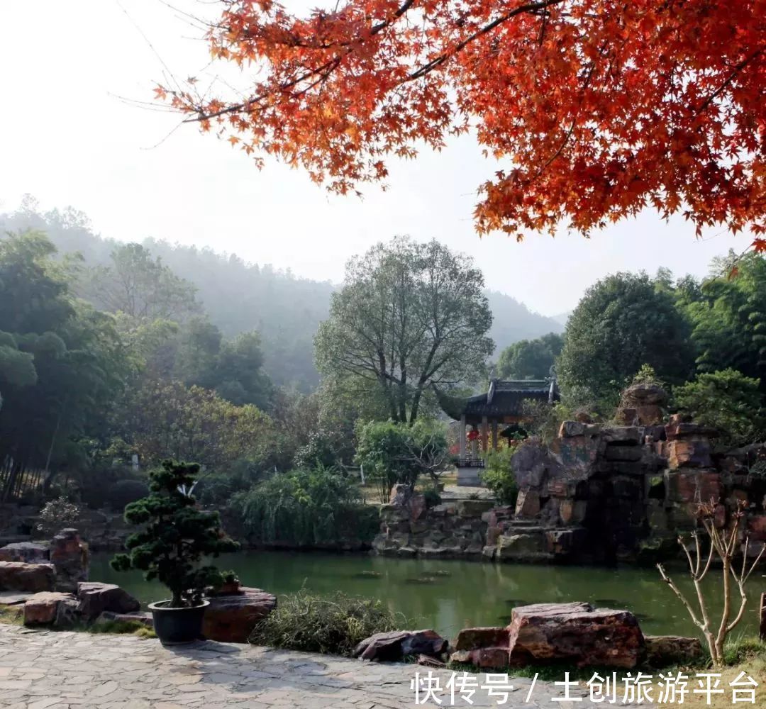 北方人说北方的秋天最美丽 南方人却笑着说欢