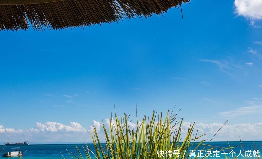 旅行社停止经营