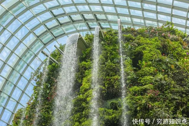 这是什么节奏?新加坡竟然花了10亿打造“原始森林”