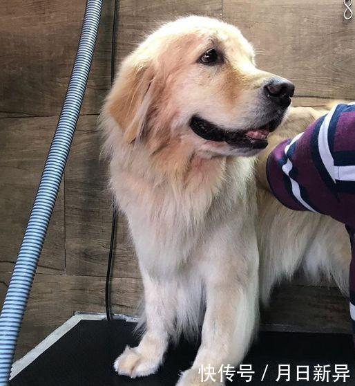 疗养院是干什么的