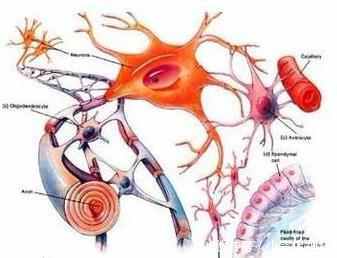 探秘6个罕见的未解之谜,有些事情说不清道不明!