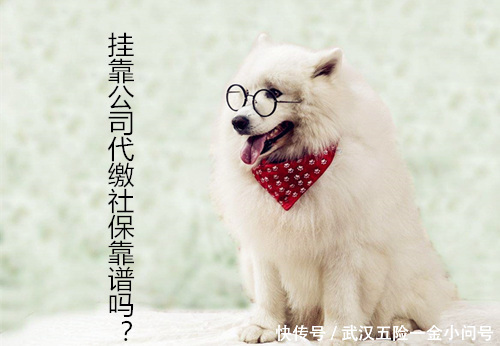 挂靠公司代缴社保靠谱吗?您应该这么看