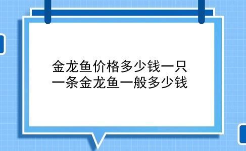 60公分魚缸養(yǎng)銀龍多少條（60公分魚缸養(yǎng)銀龍多少條魚）