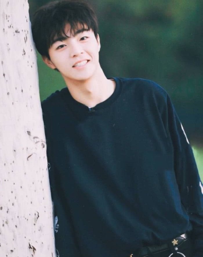 2018年人气最高的小鲜肉,易烊千玺、陈立农上榜,鹿晗都输给了他!