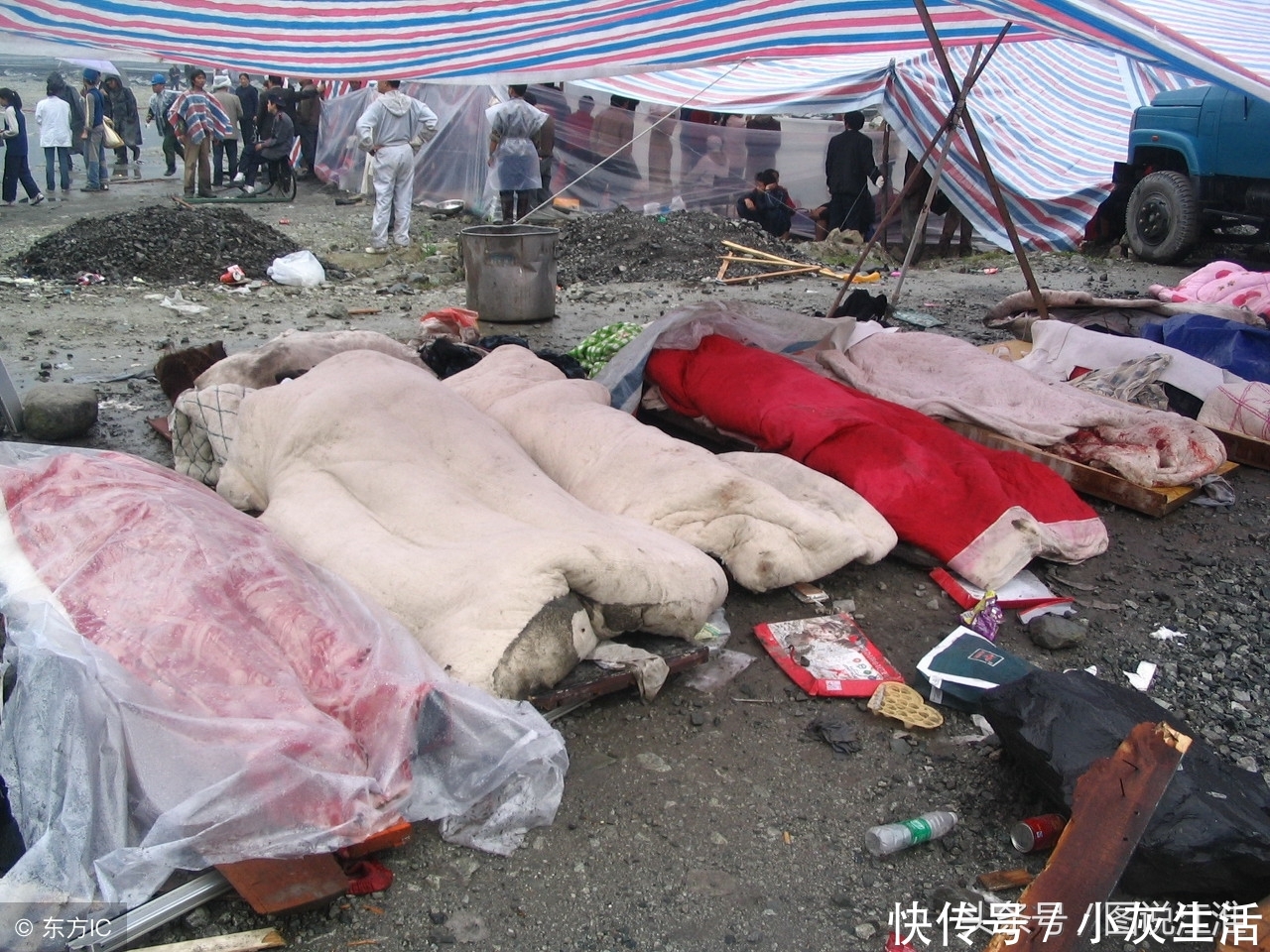 十年祭,汶川地震那些难忘的生死瞬间,致敬废墟