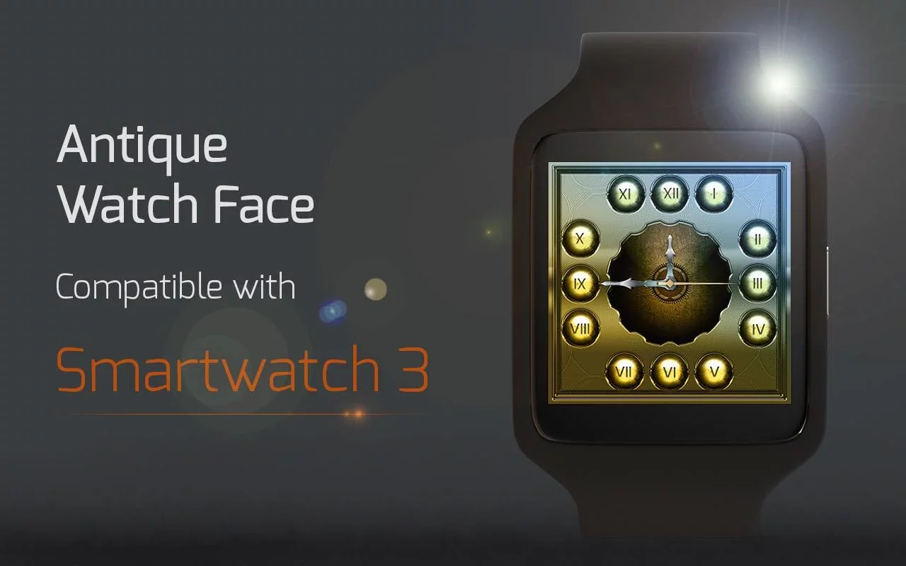 Antique Watch Face截图12