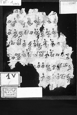 吐火罗语