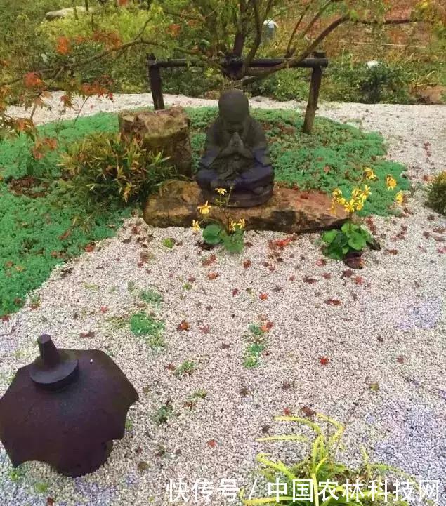 从无到有,年入6亿的特色小镇是如何炼成的?