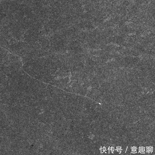 中俄能源合作重大项目首船北极天然气抵达中国