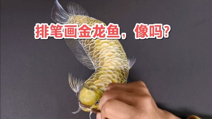 魚缸放著不用就壞了嗎（魚缸放著不用就壞了嗎怎么辦）