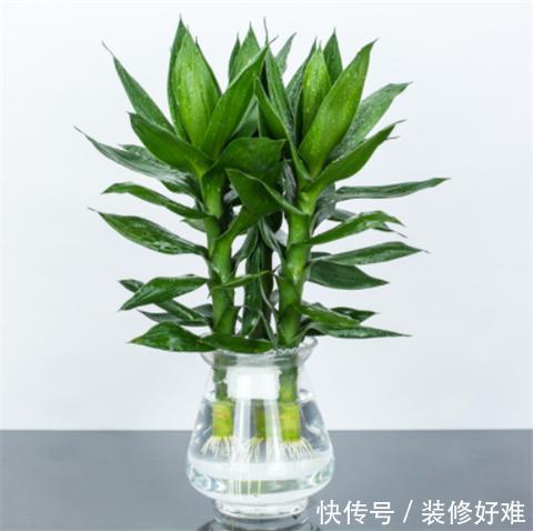 t01c72214caca402cc2.jpg